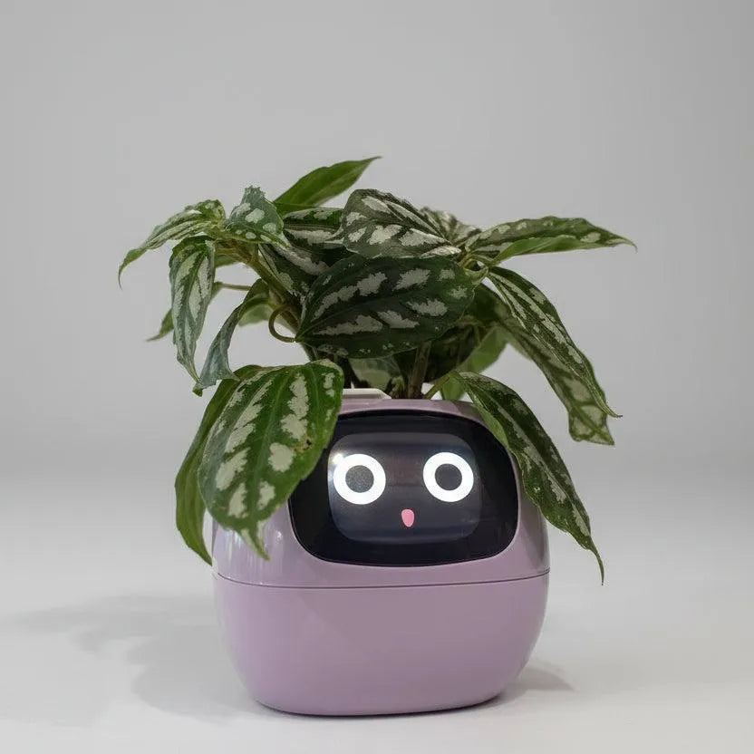 Smart AI Plant Pet & Interactive Planter with 49+ Expressions | AIRYAH TECH-Computer Accesories-AIRYAH Tech