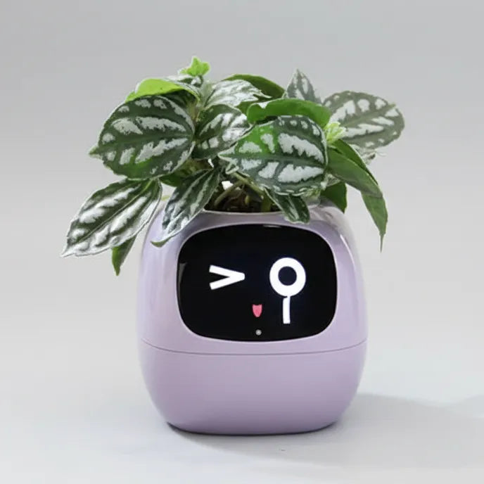 Smart AI Plant Pet & Interactive Planter with 49+ Expressions | AIRYAH TECH-Computer Accesories-AIRYAH Tech