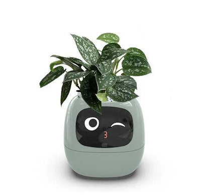 Smart AI Plant Pet & Interactive Planter with 49+ Expressions | AIRYAH TECH-Computer Accesories-AIRYAH Tech